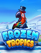 เคล็ดลับน่าใช้สำหรับ ยู ฟ่า 739สล็อต ยิง ปลา 666